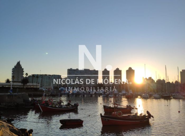 imagen  de la propiedad 24378