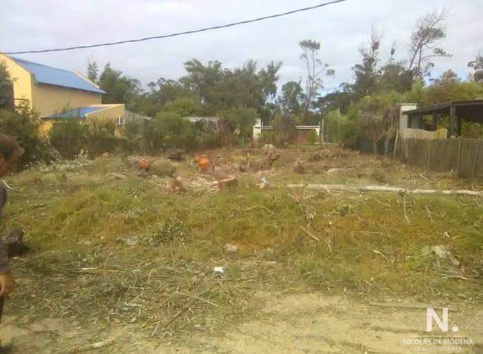 imagen  de la propiedad 24490