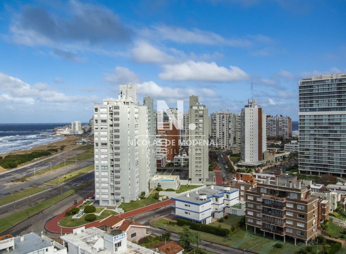 imagen  de la propiedad 24506