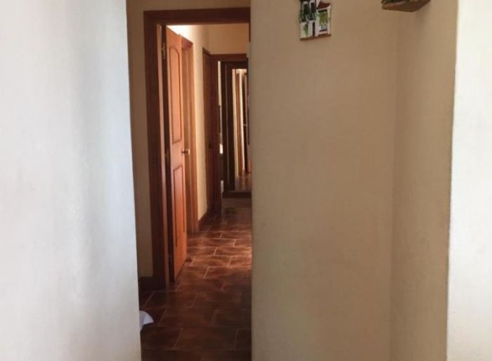 imagen  de la propiedad 24538