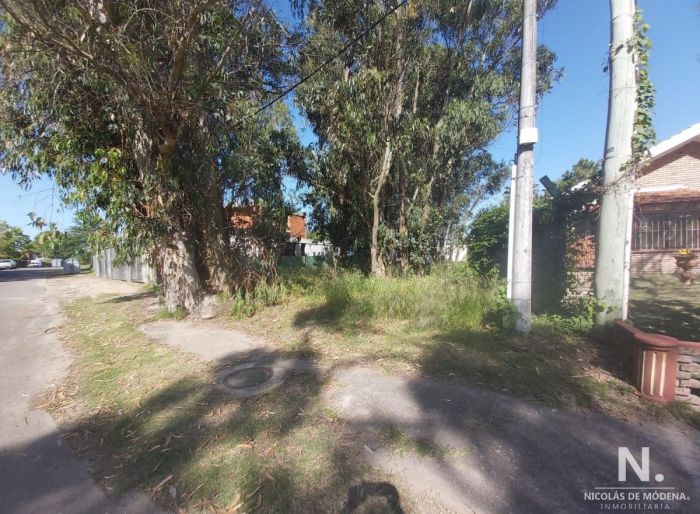 imagen  de la propiedad 24539