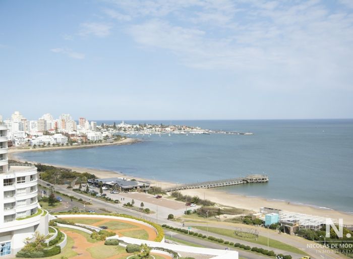 imagen  de la propiedad 24541