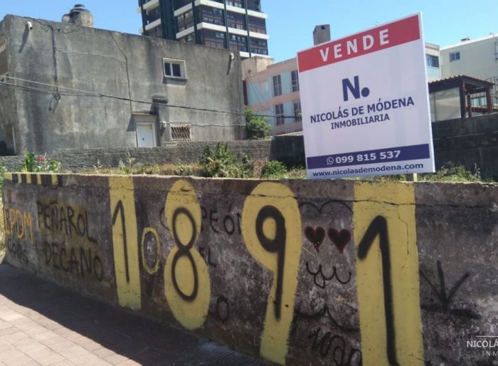 imagen  de la propiedad 24545
