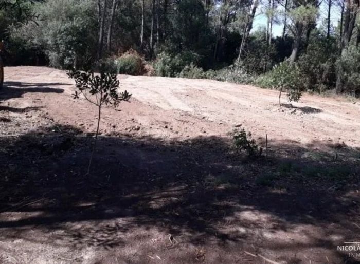 imagen  de la propiedad 24583