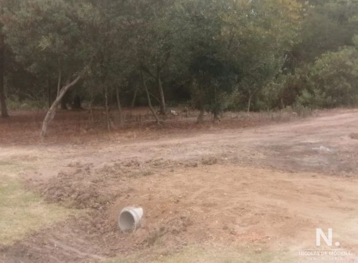 imagen  de la propiedad 24583