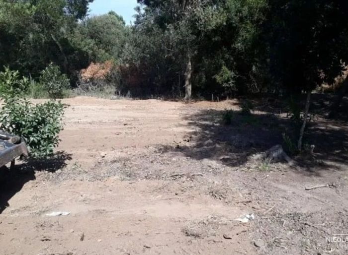 imagen  de la propiedad 24583
