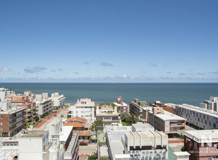 imagen  de la propiedad 24597