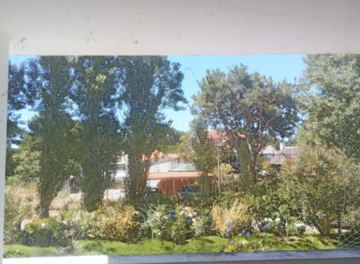 imagen  de la propiedad 24805