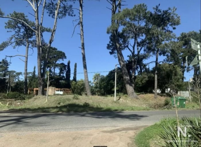 imagen  de la propiedad 29734