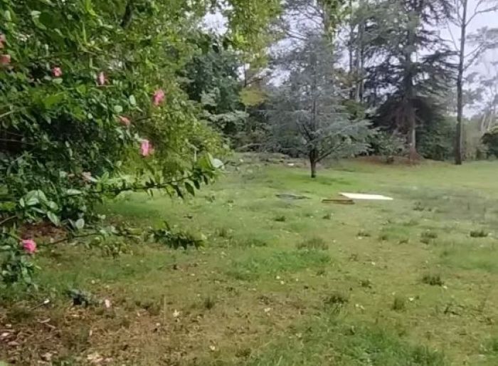 imagen  de la propiedad 29776
