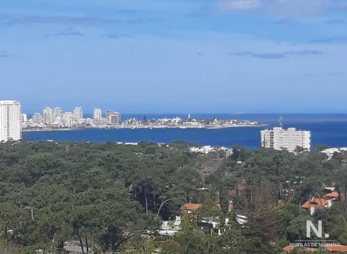 imagen  de la propiedad 35033