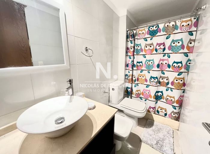 imagen  de la propiedad 36037