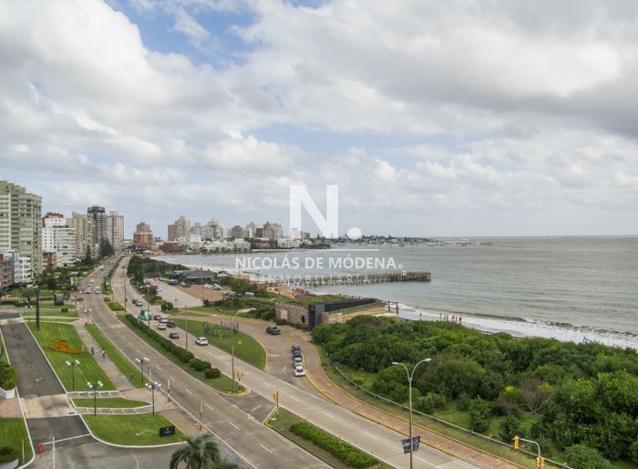 imagen  de la propiedad 40140