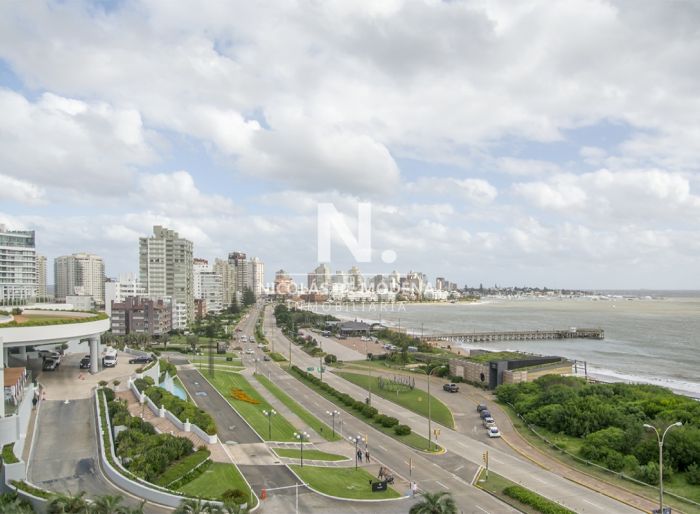 imagen  de la propiedad 40140