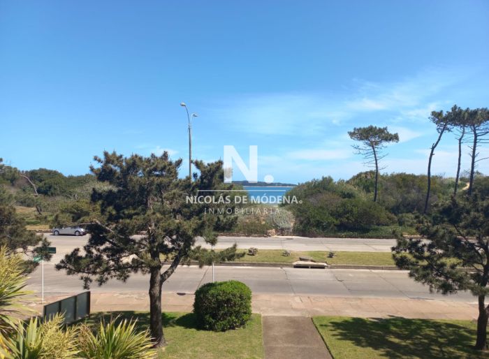 imagen  de la propiedad 40287