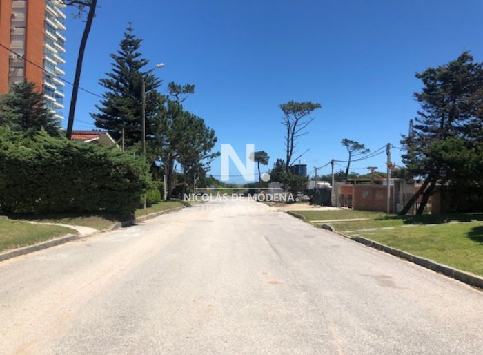 imagen  de la propiedad 40542