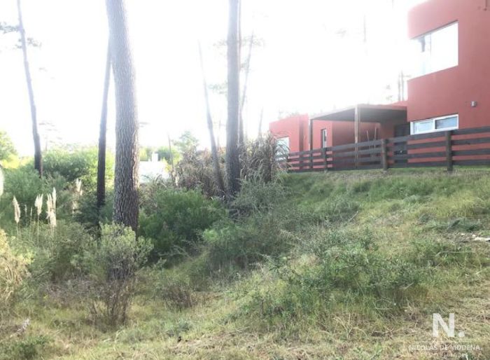 imagen  de la propiedad 40918