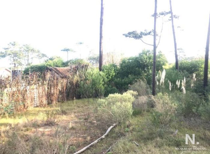 imagen  de la propiedad 40918