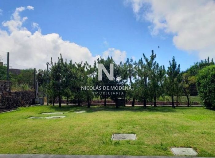 imagen  de la propiedad 41002