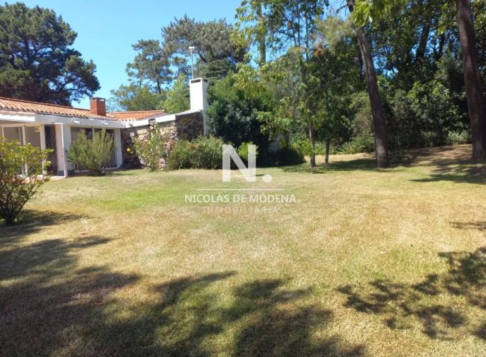 imagen  de la propiedad 41175