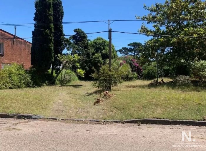 imagen  de la propiedad 41298