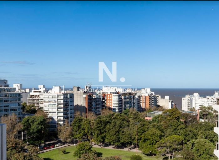 imagen  de la propiedad 41343
