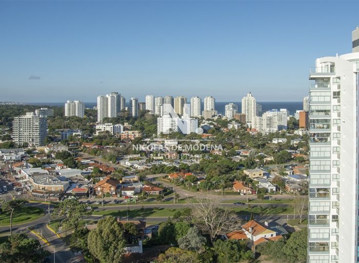 imagen  de la propiedad 41463