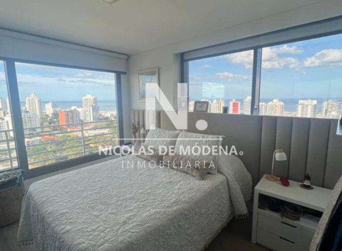 imagen  de la propiedad 41552