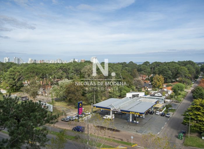imagen  de la propiedad 41691