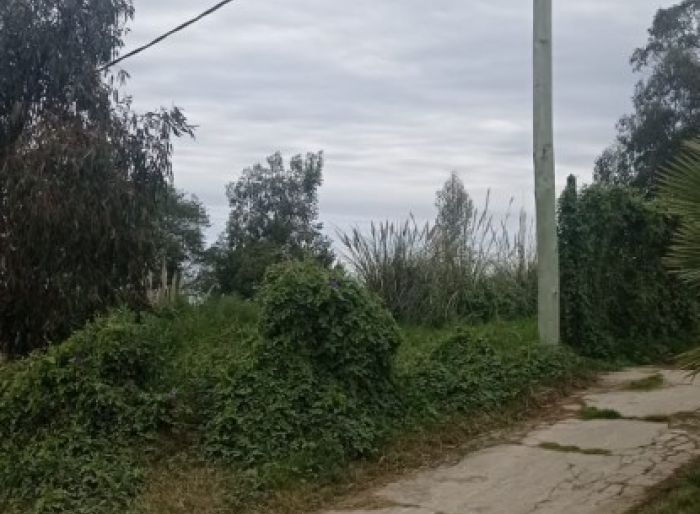 imagen  de la propiedad 49637