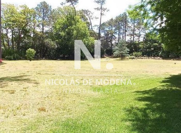 imagen  de la propiedad 54210