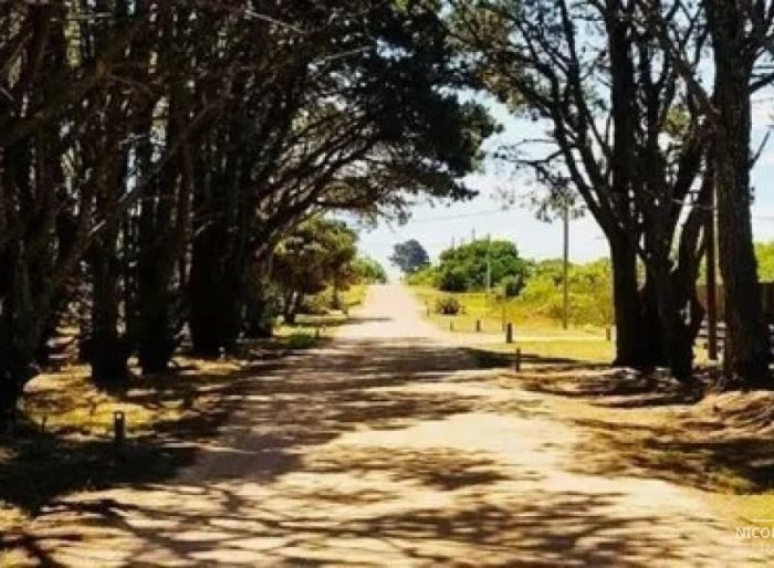 imagen  de la propiedad 84330