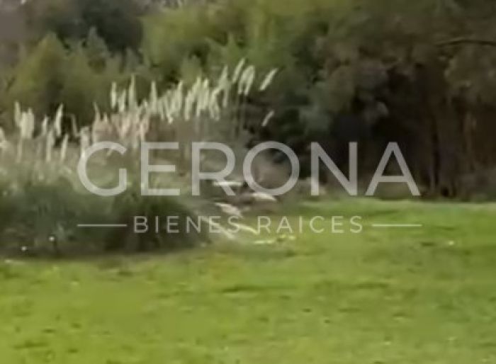 imagen  de la propiedad 89504