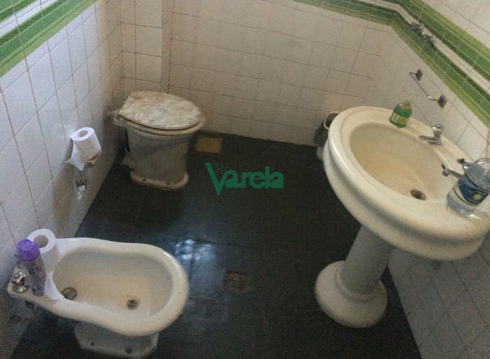 imagen  de la propiedad 119381