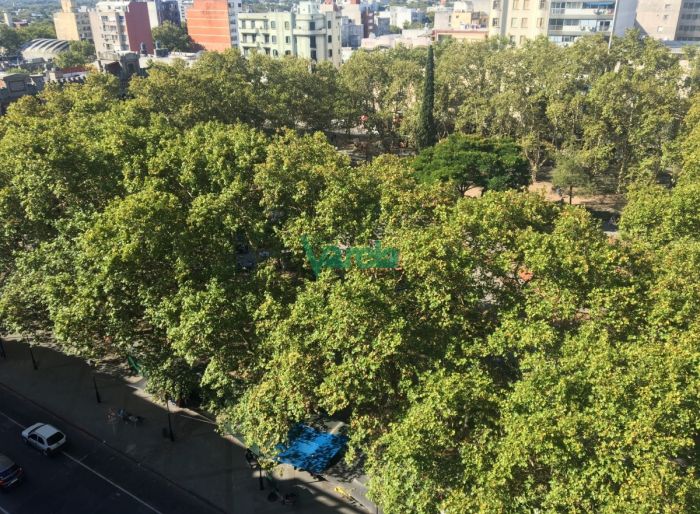 imagen  de la propiedad 119381