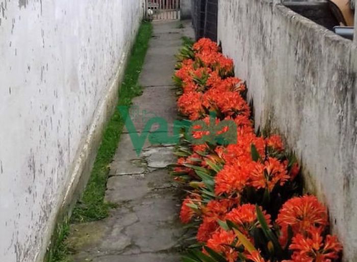 imagen  de la propiedad 119390