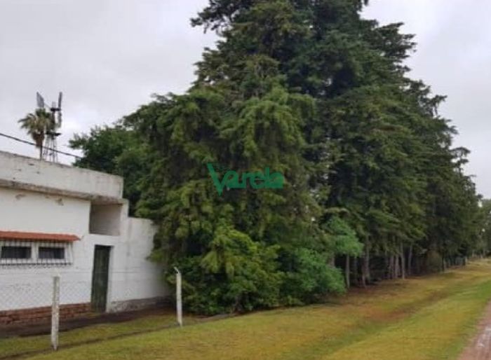 imagen  de la propiedad 119460