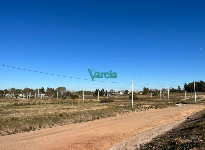 imagen  de la propiedad 119462