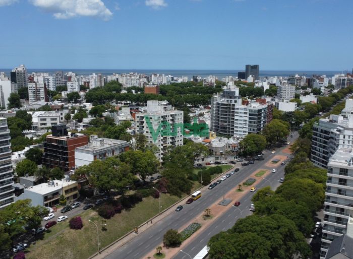 imagen  de la propiedad 119700