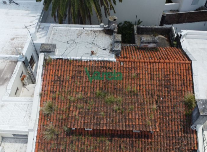 imagen  de la propiedad 119700