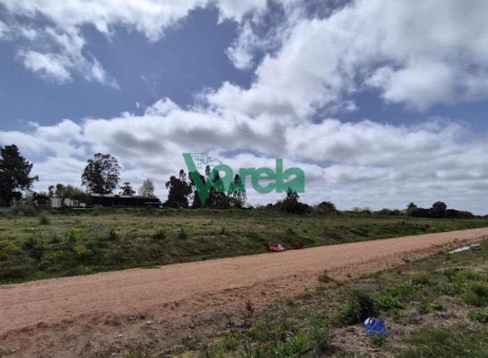imagen  de la propiedad 125820