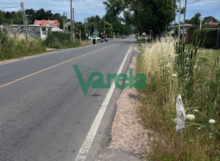 imagen  de la propiedad 119546