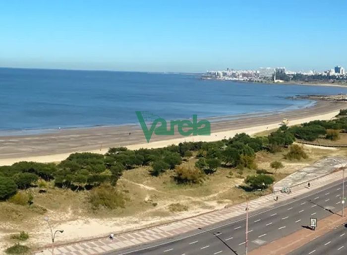 imagen  de la propiedad 119426