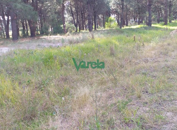 imagen  de la propiedad 119434