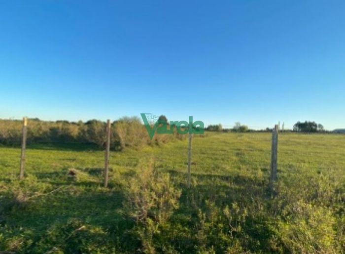 imagen  de la propiedad 119482