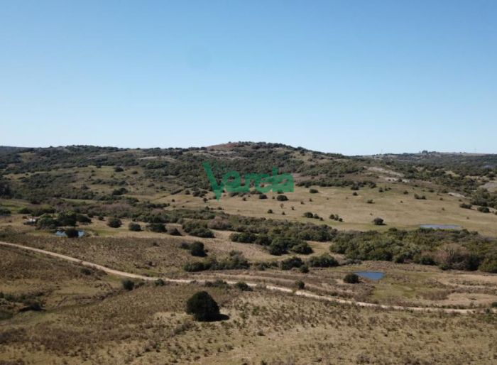 imagen  de la propiedad 119492