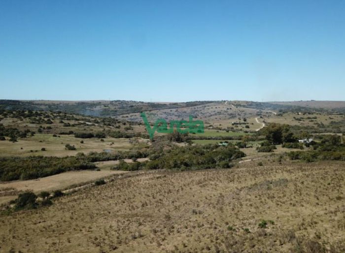 imagen  de la propiedad 119492