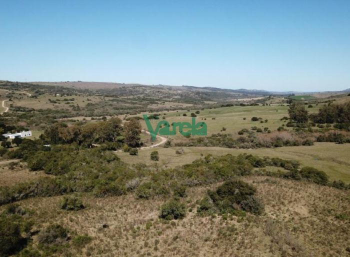 imagen  de la propiedad 119492