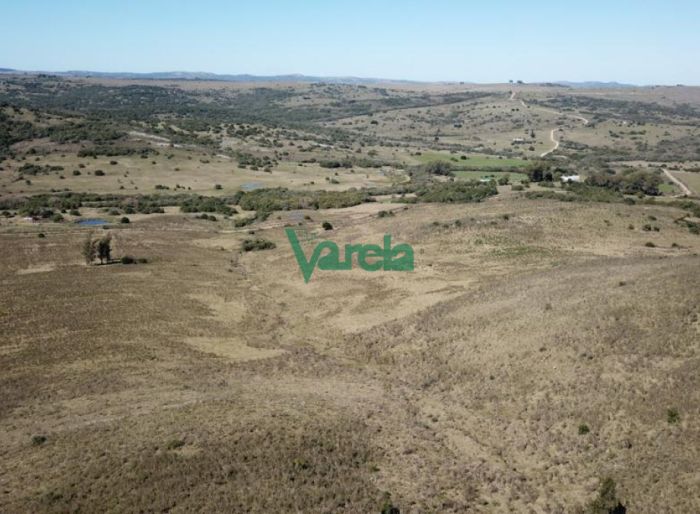 imagen  de la propiedad 119492
