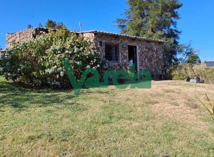 imagen  de la propiedad 119503